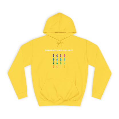 How Many BM's You Got?- Unisex Hoodie